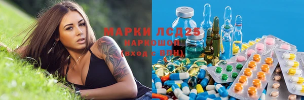 ПСИЛОЦИБИНОВЫЕ ГРИБЫ Алексеевка