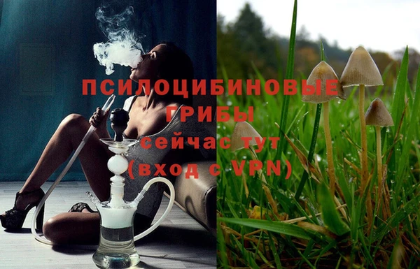 ПСИЛОЦИБИНОВЫЕ ГРИБЫ Алексеевка