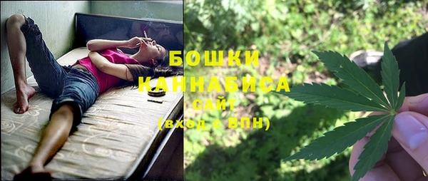 ПСИЛОЦИБИНОВЫЕ ГРИБЫ Алексеевка