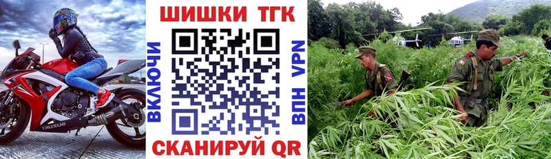 Каннабис индика Александровское
